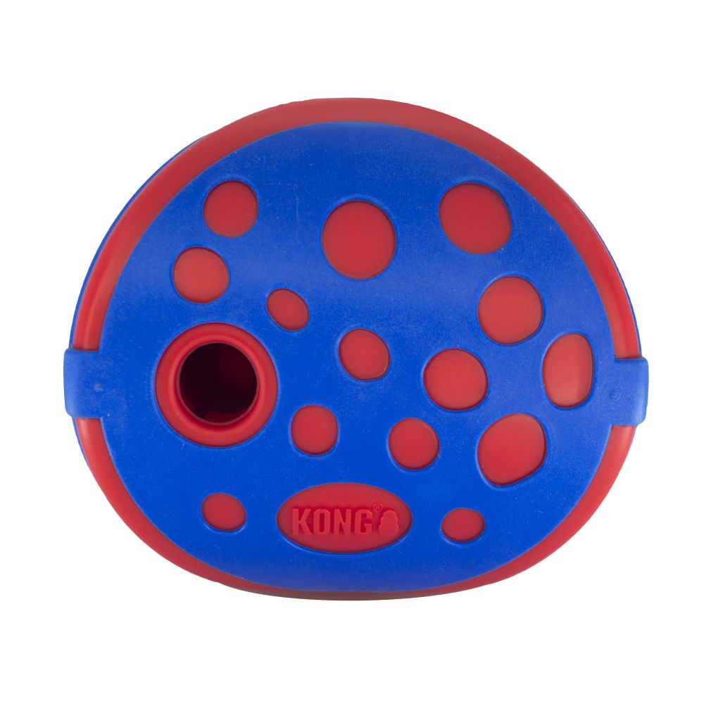 Kong (Rewards) Wally Treat Dispensing Dog Toy