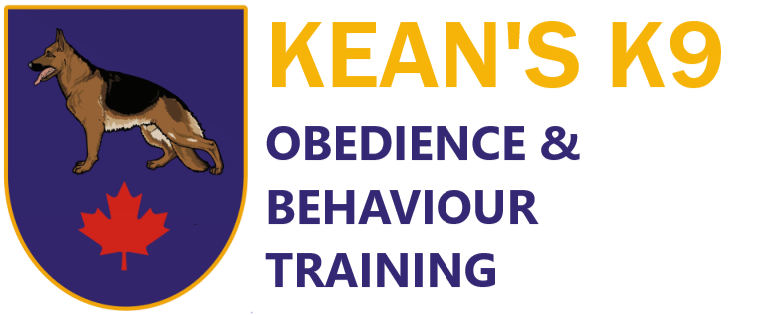 Kean's K9