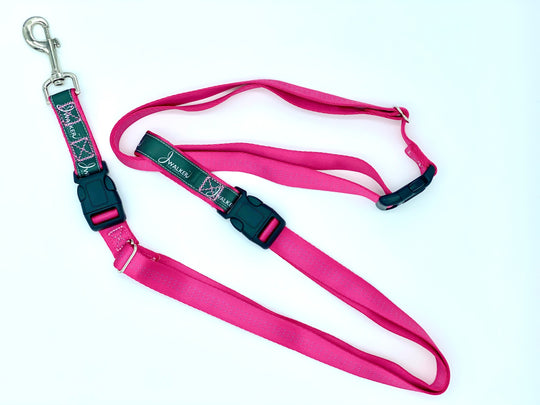 Leash & Utility Belt JWalker